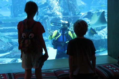 This aquarium keeper was hand feeding the fish - the kids were fascinated.