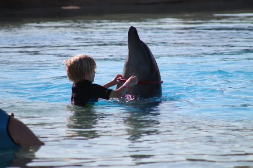 ArgeySon playing with the dolphin's at Dolphin Bay, Atlantis The Palm