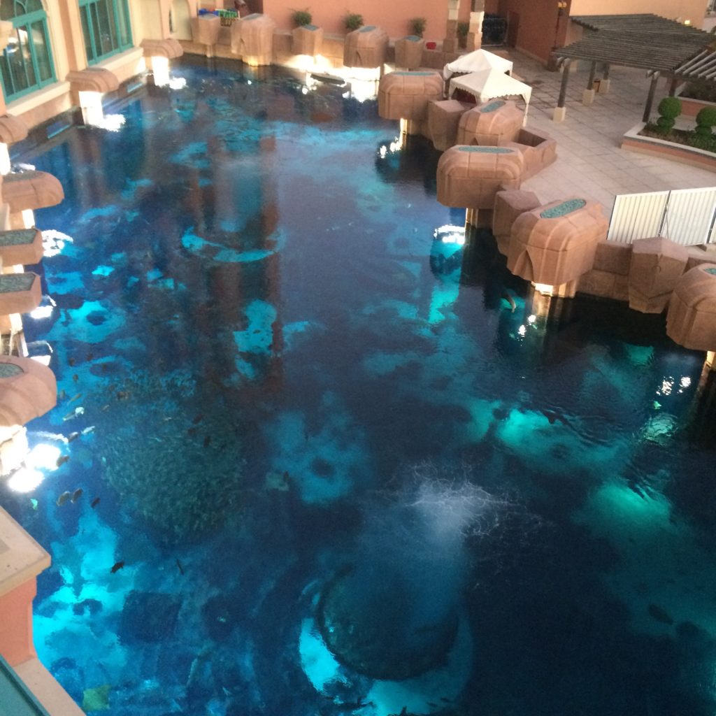 A view of the Atlantis The Palm, aquarium from our hotel room