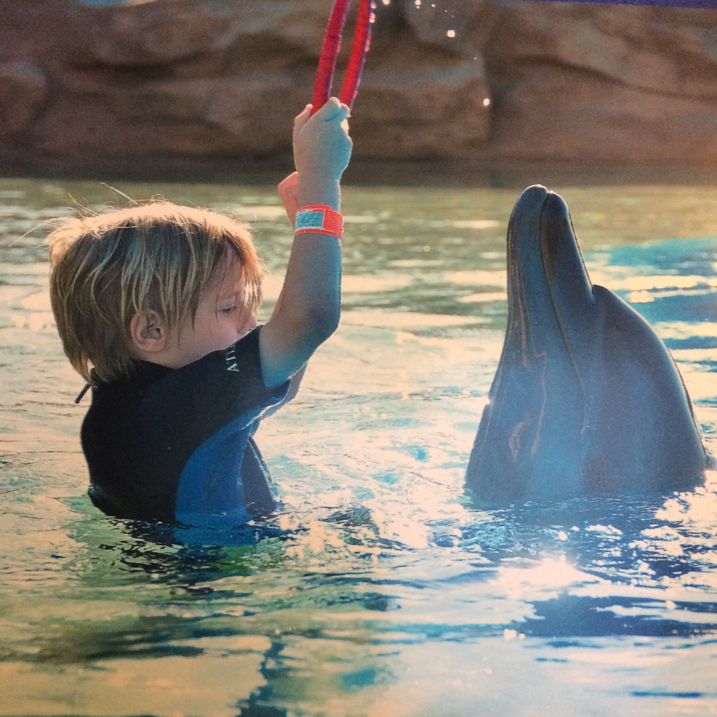 Playing with the dolphin at Dolphin Bay, Atlantis The Palm.