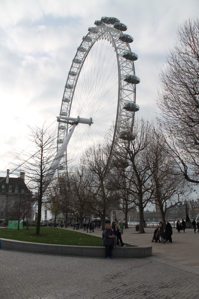 ArgeyMum and Son in front of the London Eye