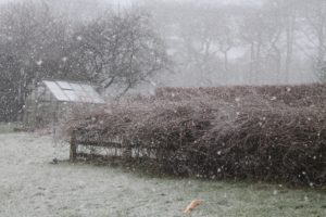 Snow in Yorkshire