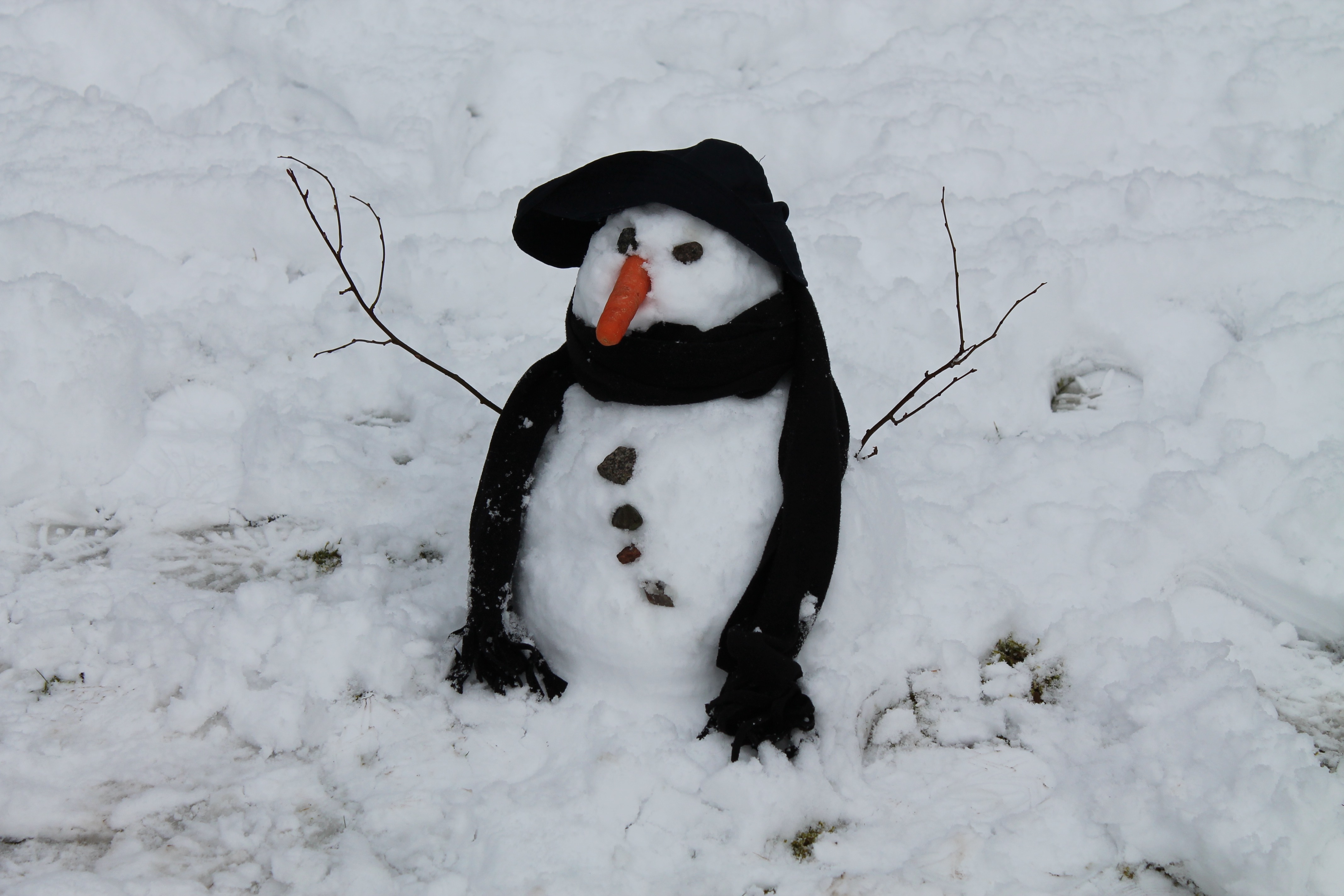 Do You Wanna Build a Snowman? Snow in Scotland and Yorkshire