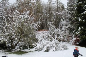 Our beautiful snow covered back yard in Fort Augustus, Scotland - Snow in Scotland