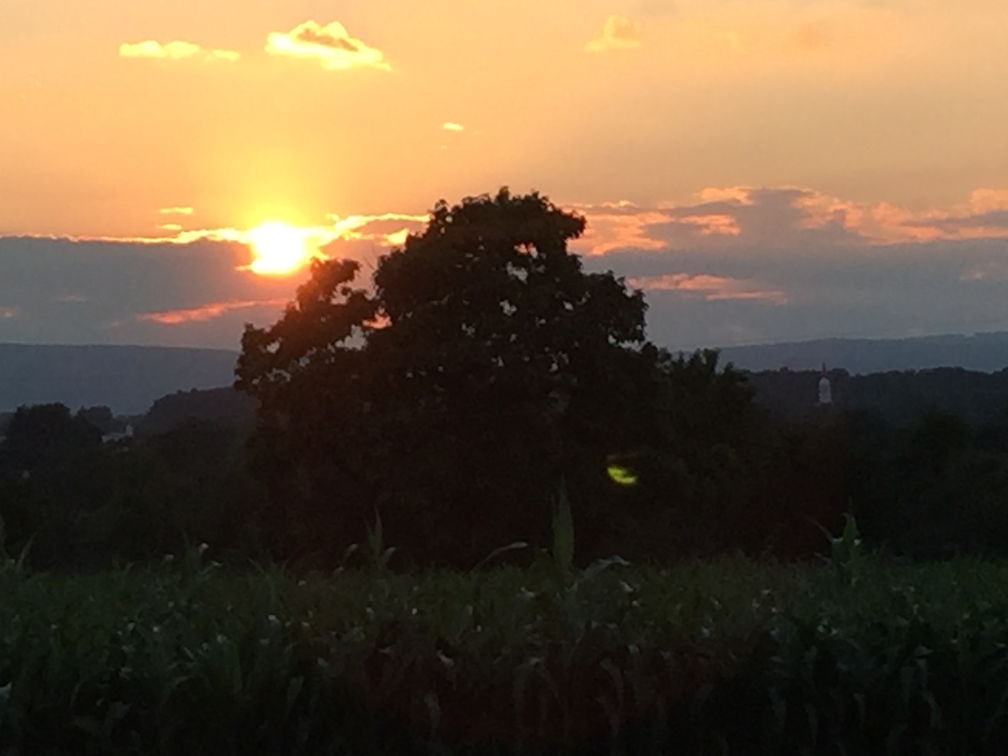 One of the most incredible days we have spent while travelling - doing the Gettysburg Battlefield Tour.