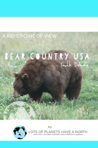 Bear Country USA in Rapid City, South Dakota, is a fantastic place for kids.