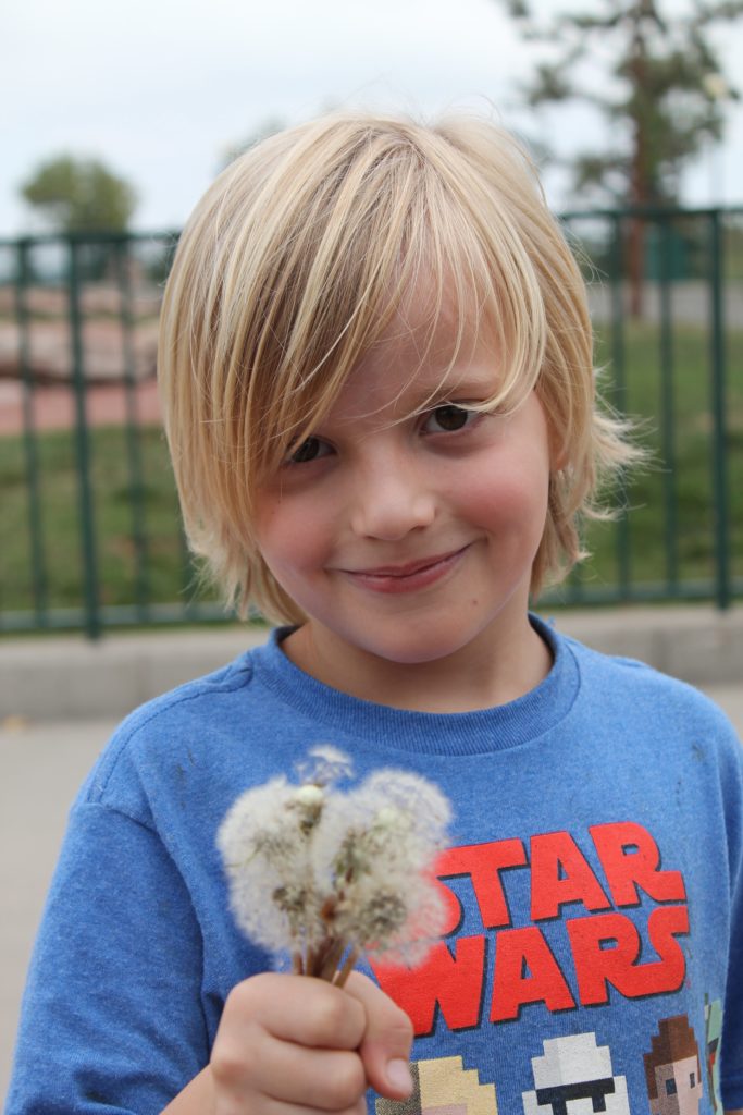 ArgeySon with some Dandelions at Bear Country USA Rapid City