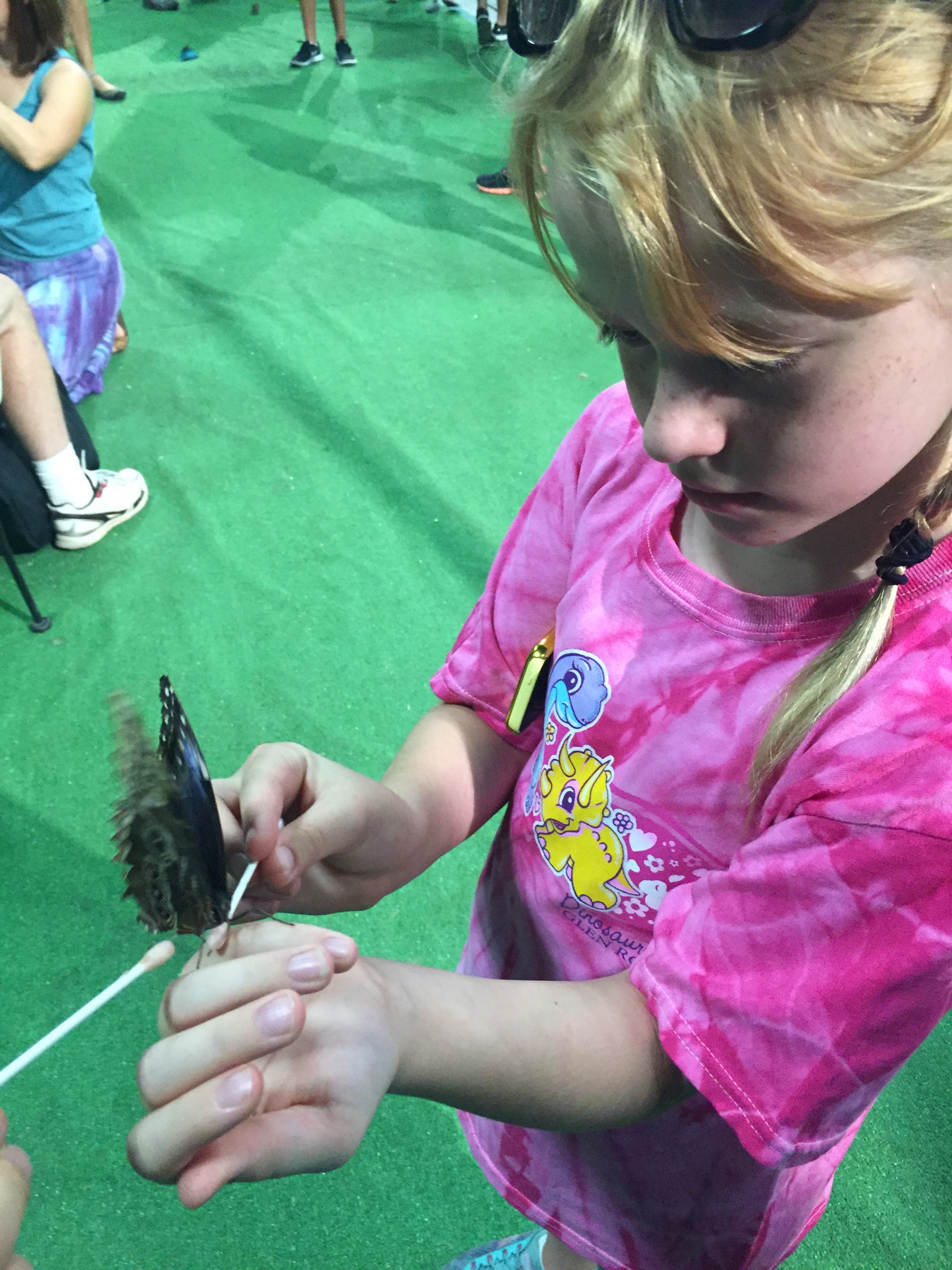 Butterfly feeding at the Oklahoma State Fair