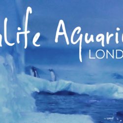 The London Aquarium