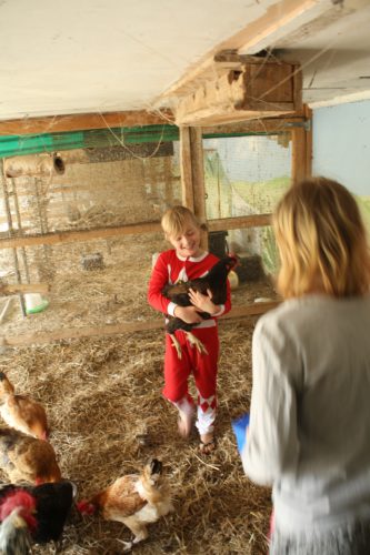 Cuddling the Chickens at our Echunga Accommodation