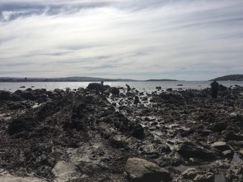 Victor Harbor Crabbing At the Bluff